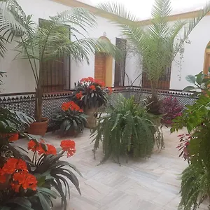 https://apartamento-calle-leiva.es-andalucia.com